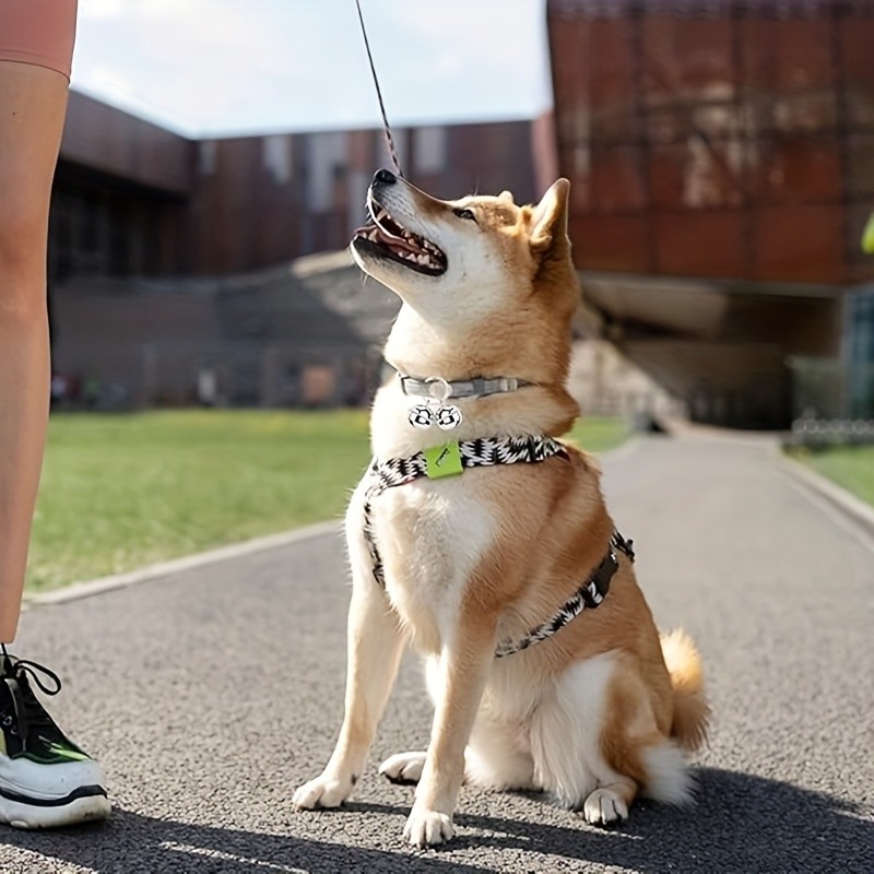 WYSUMMER 3pcs Cat and Dog Pet Bells