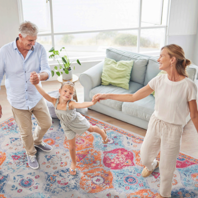 Living Room Area Rugs