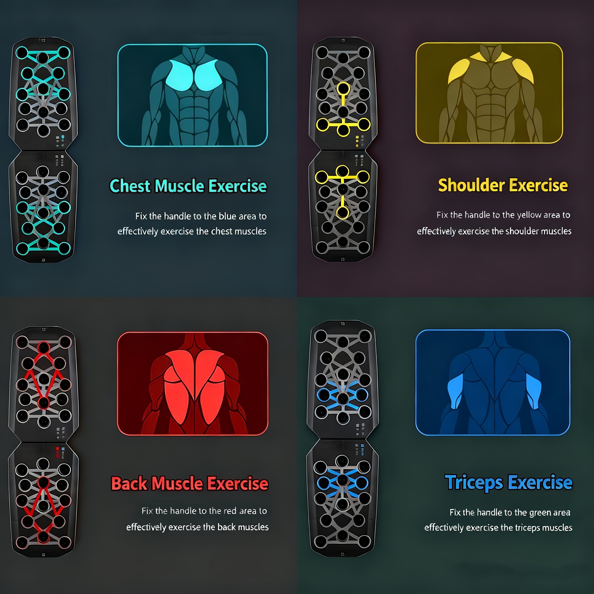 Color-Coded Push Up Board with Handles Transform Your Home Gym Workouts