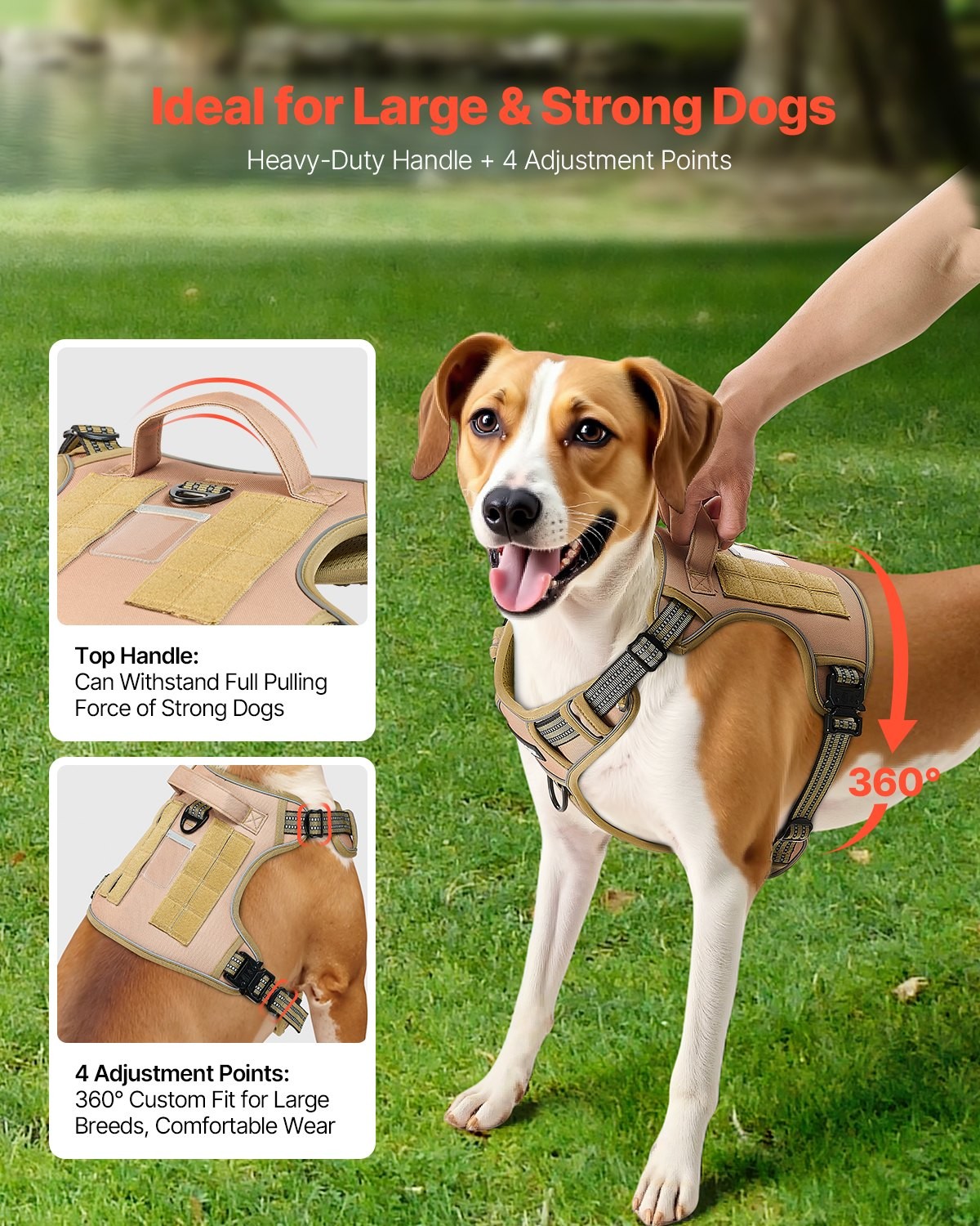 Dog Harness