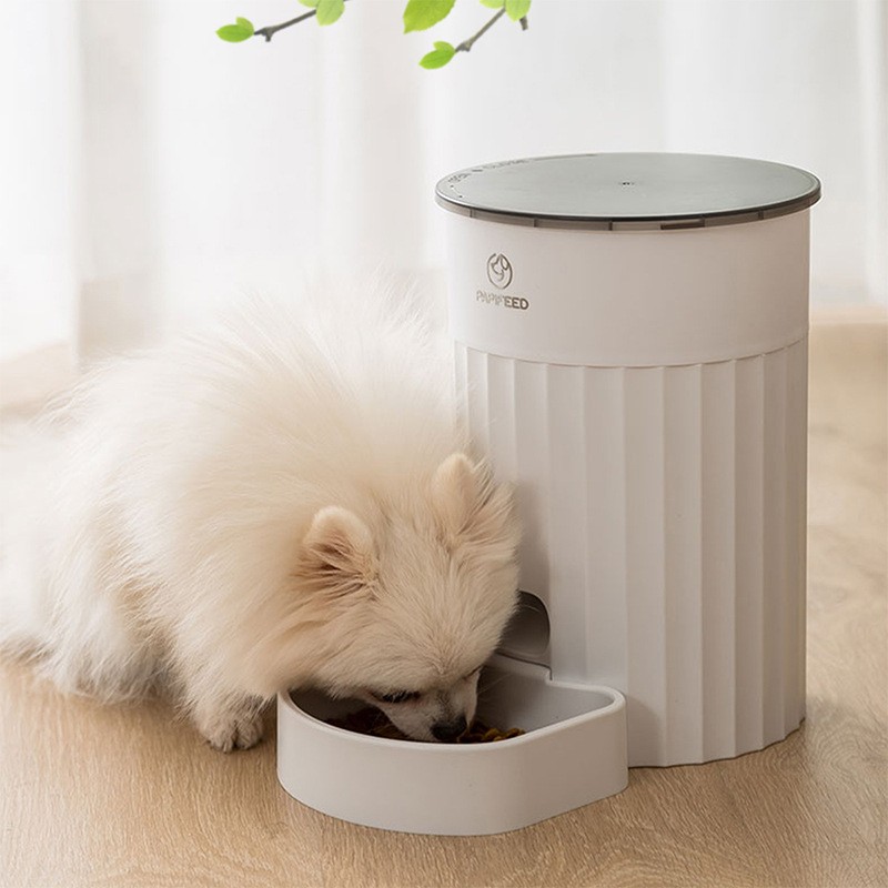 Automatic Cat Feeder