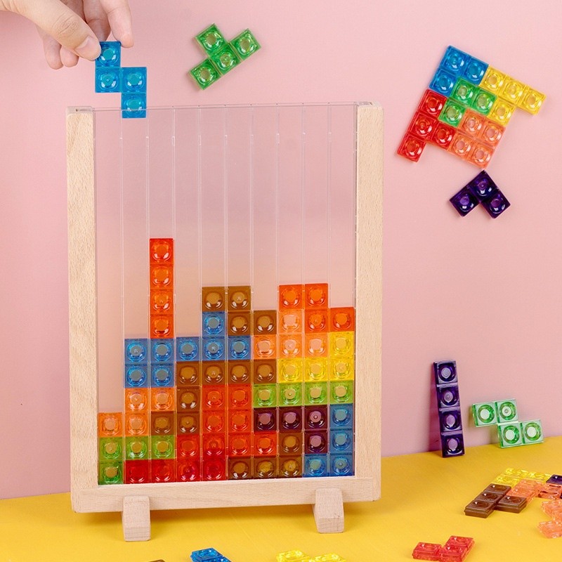 Montessori Brain Blocks