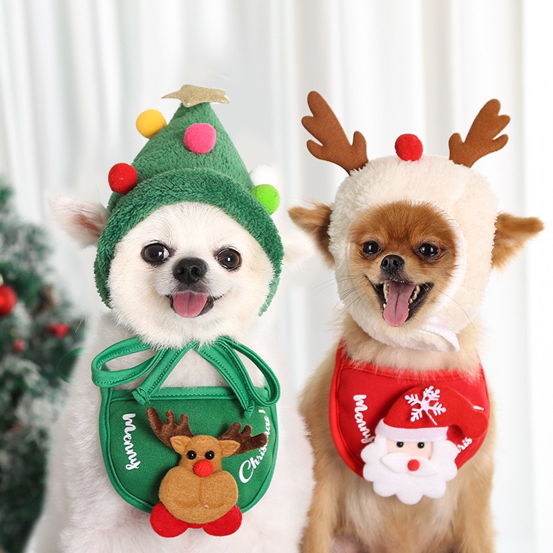 Dog Pom Hat