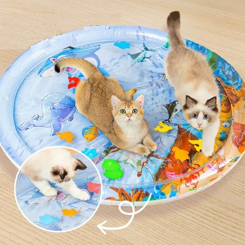 Pet Water Sensory Play Mat