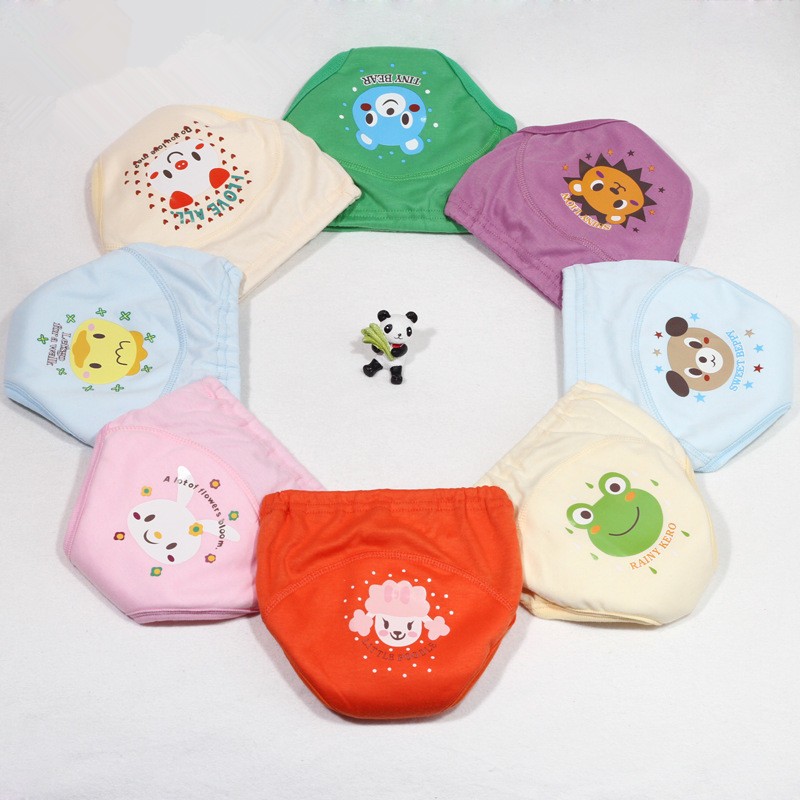 Potty Training Underwear