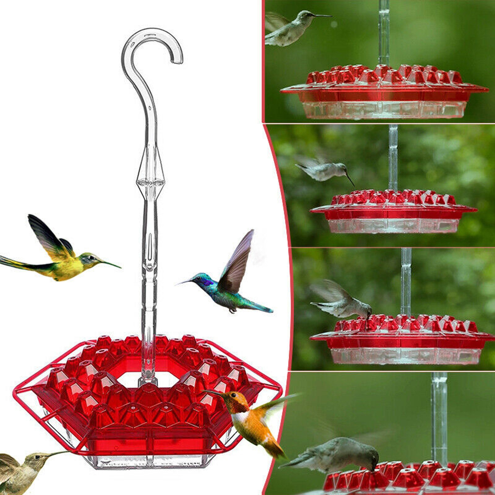 Hummingbird Feeders