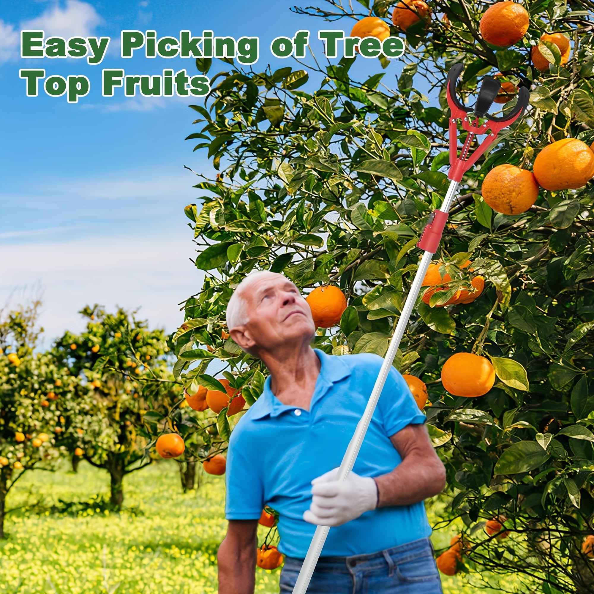 Tall Fruit Picker with Basket and Support Frame  Universal Type