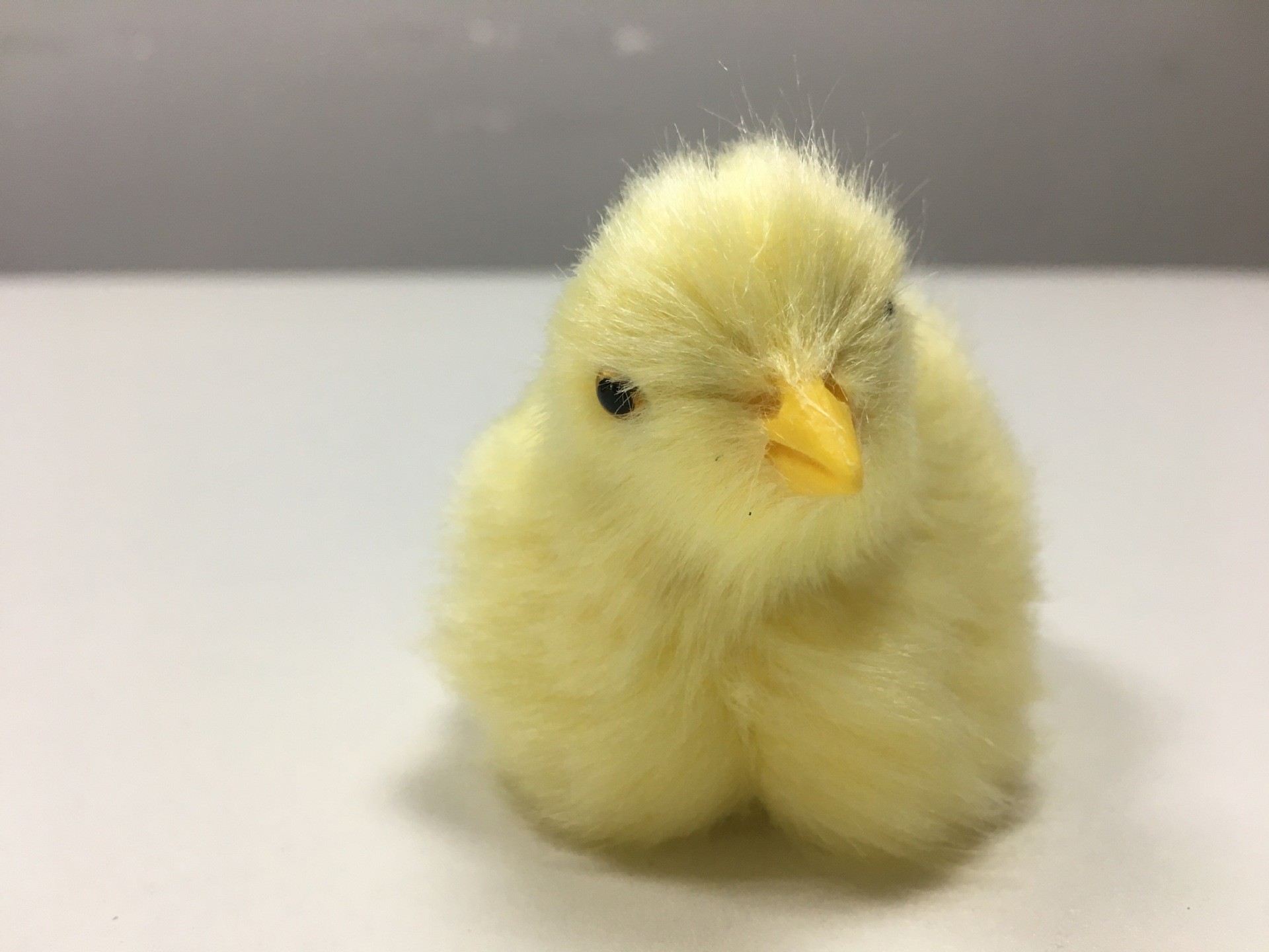 Realistic Plush Little Chick