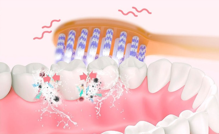 Rechargeable Ultrasonic Electric Toothbrush
