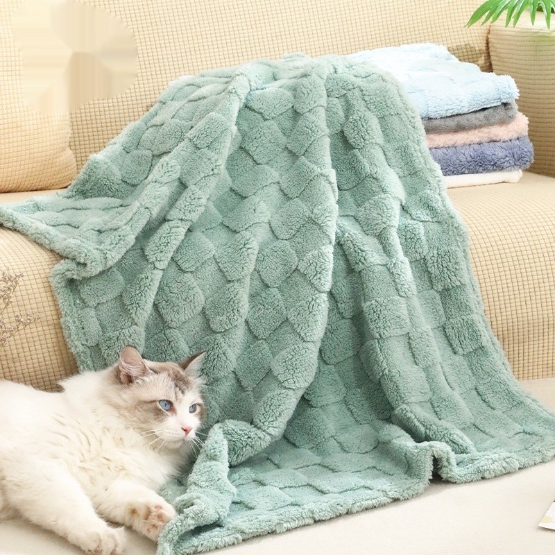 Pet Blanket