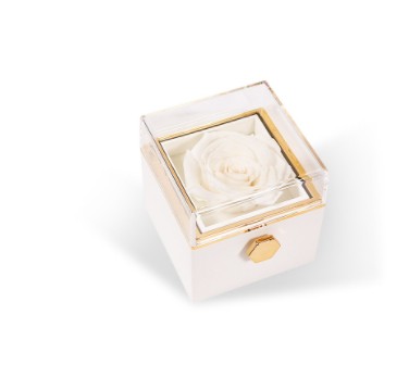 Eternal Real Rose Gift Box