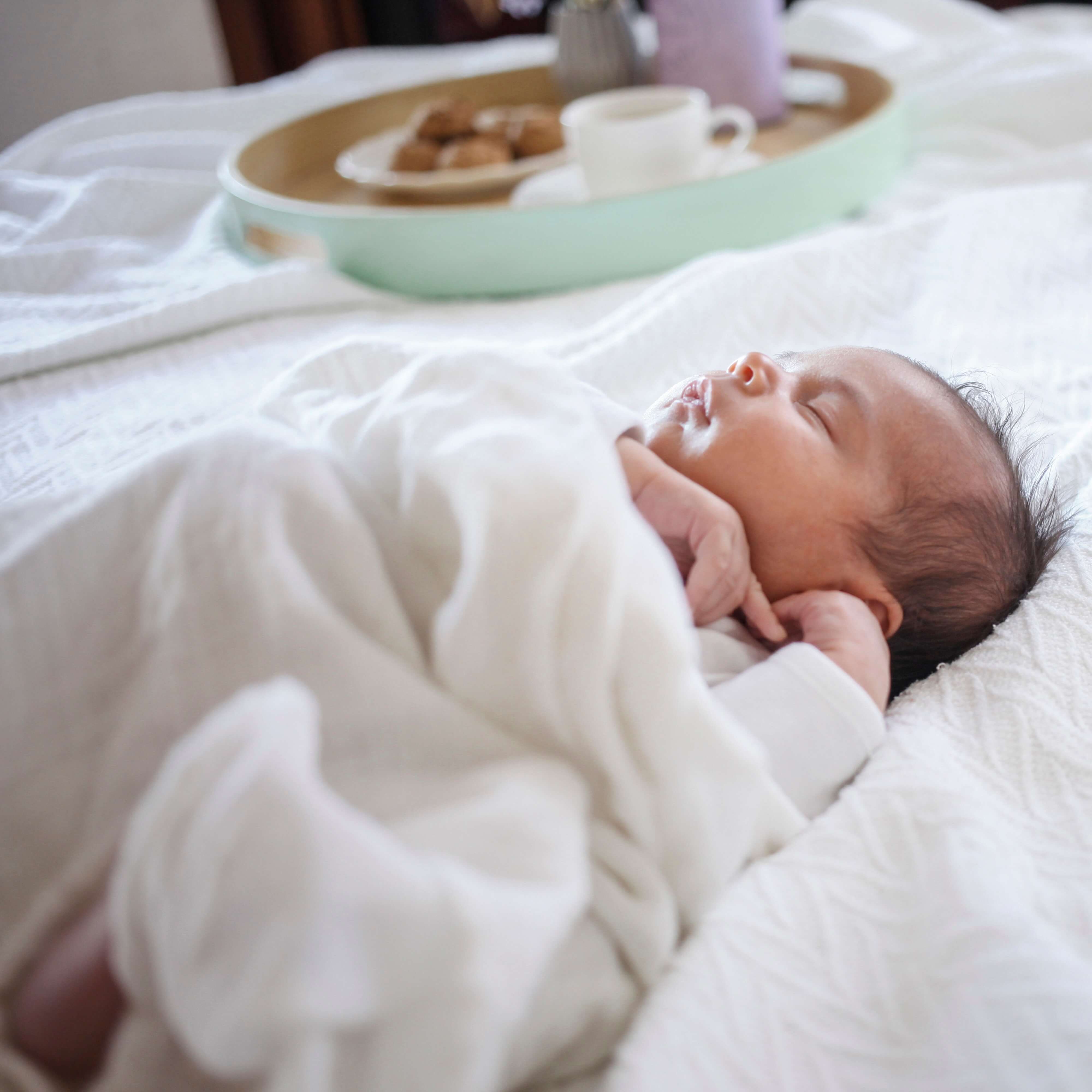 Lactation Biscuits - Chocolate Chip