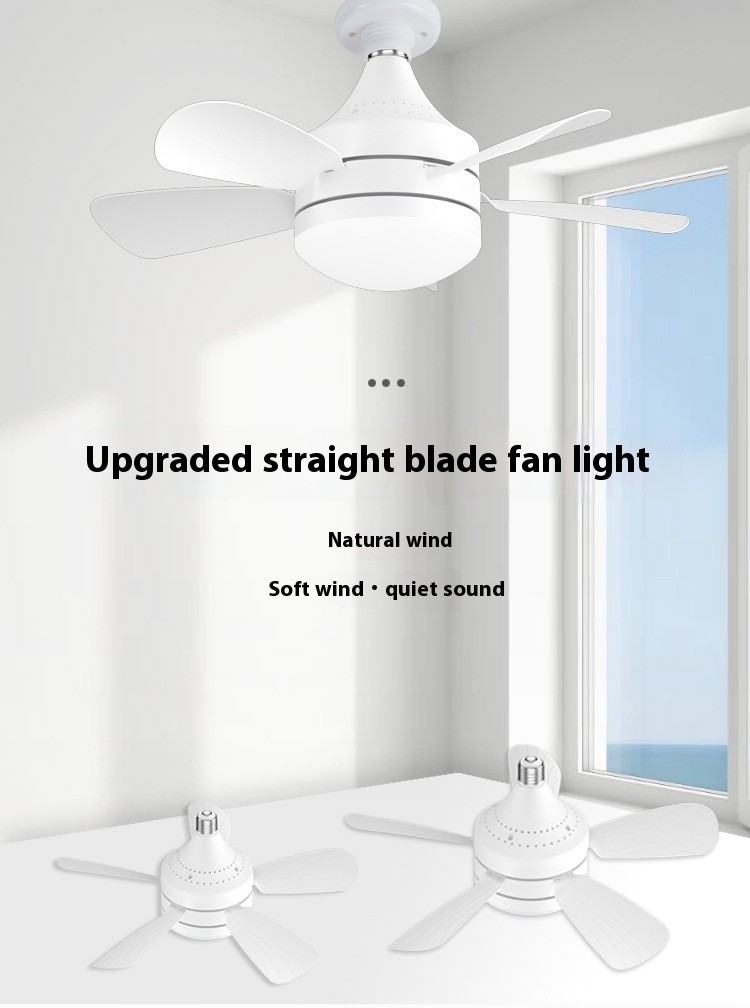 Socket Ceiling Fan Light