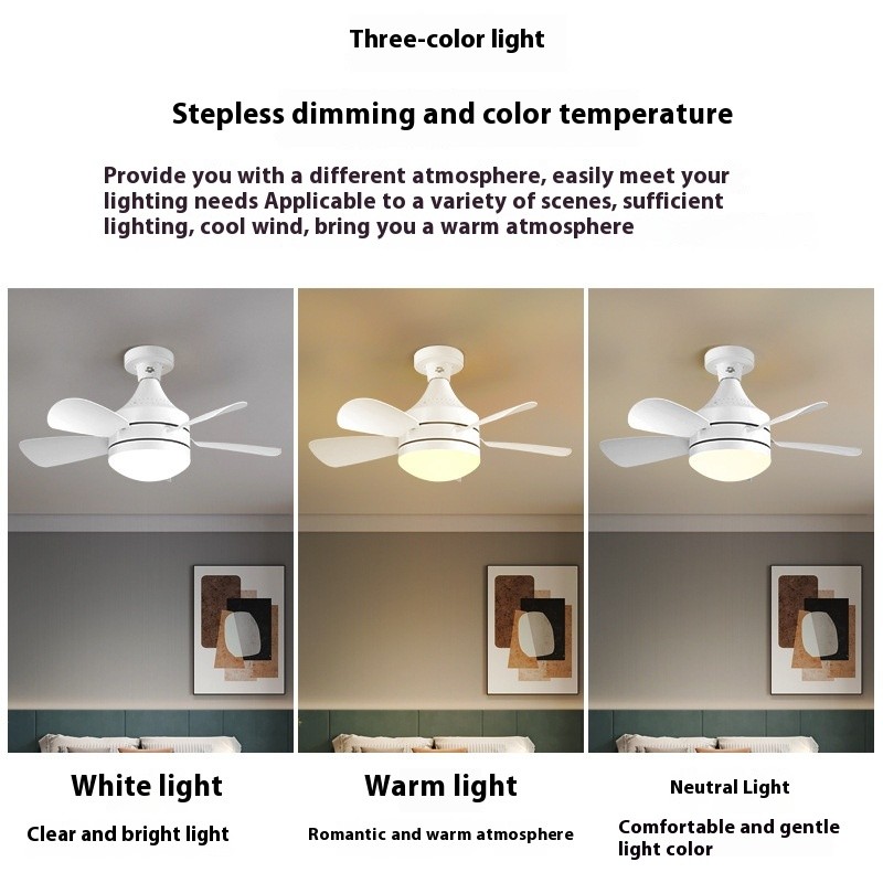 Socket Ceiling Fan Light