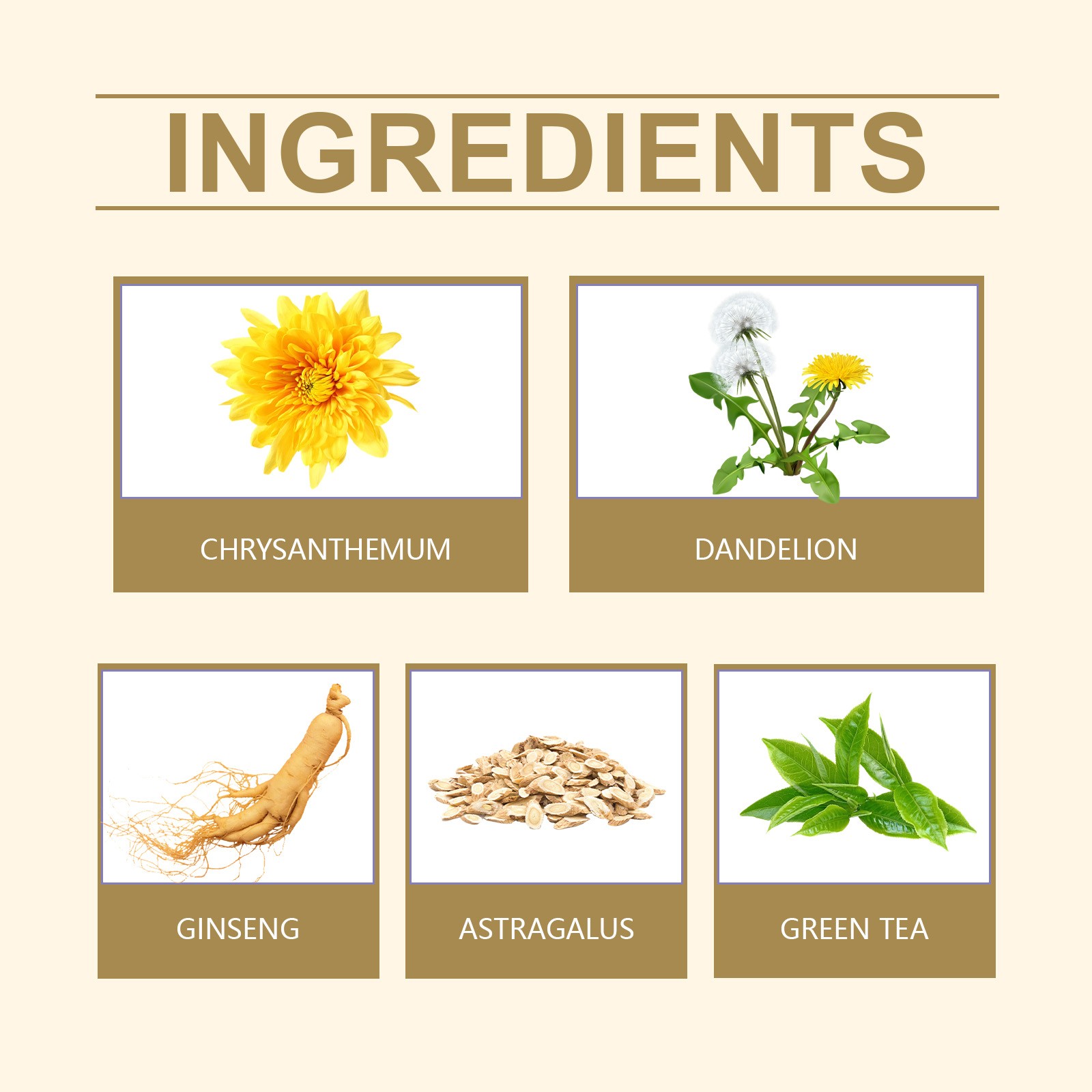 Prostate Health Herbal Tea  Gentle Herbal Care for Mens Wellness