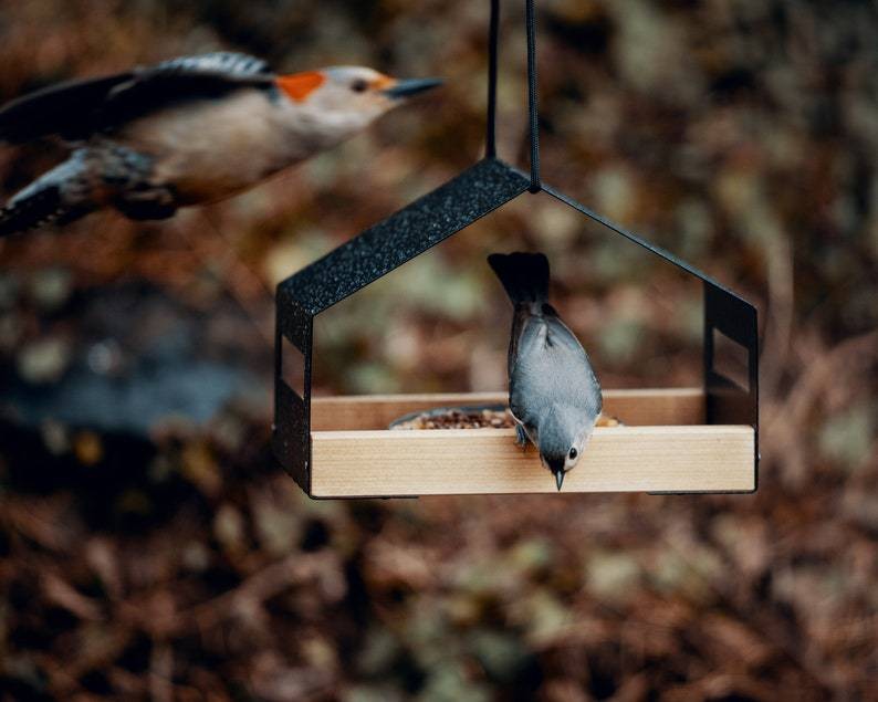 Hanging Bird Feeder for Garden with Roof