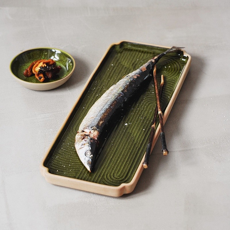 Household Sushi Dish