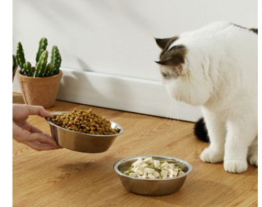 Stainless Steel Bowl For Pet