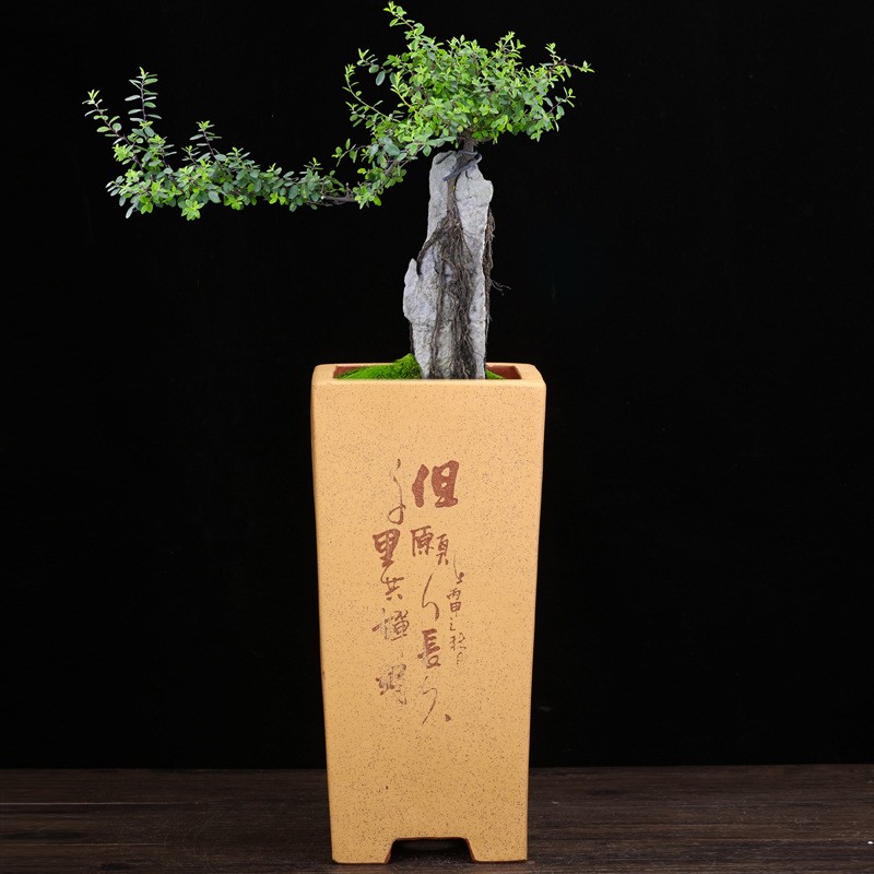 Pots Square Creative Ceramics