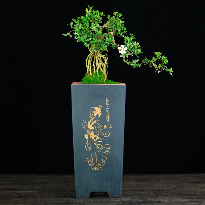 Pots Square Creative Ceramics