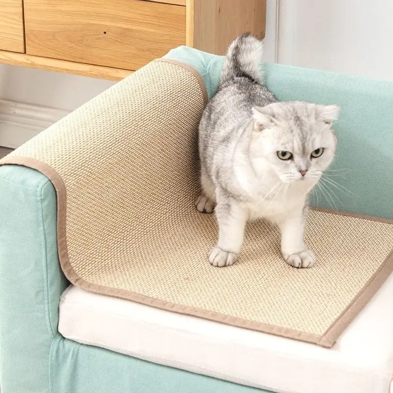 Carpet Cat Scratching