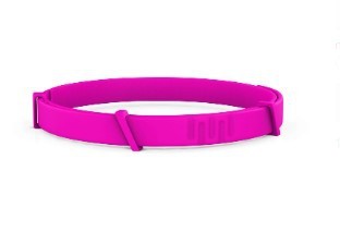 Flea and Tick Pet Collar