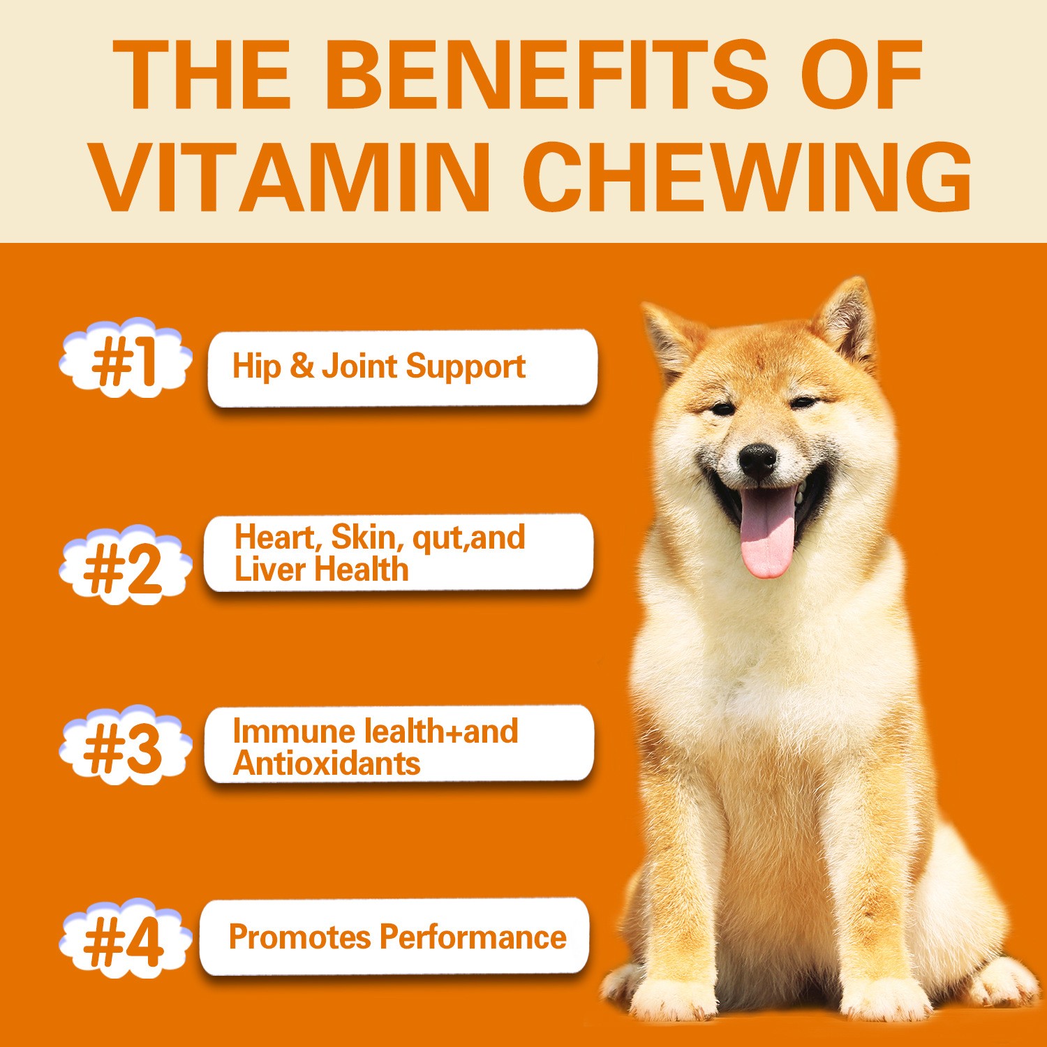 YourMite Multivitamin Chews Healthy, Delicious Soft Chews for Dogs