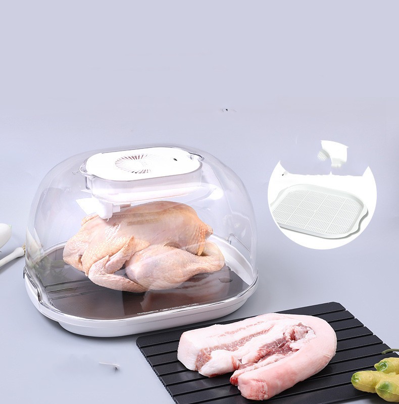 Food Preservation Defroster