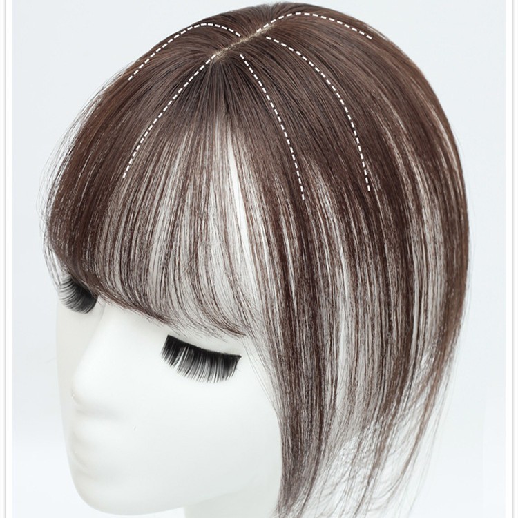 Clip in Bangs