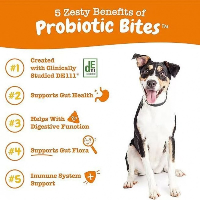 Probiotic Bites for Dogs  Daily Digestive & Gut Health Support