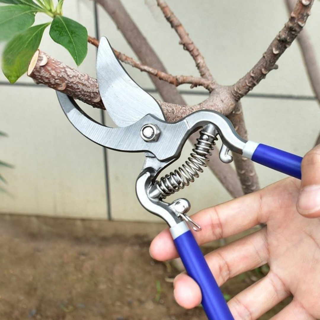 Garden Scissors Tools