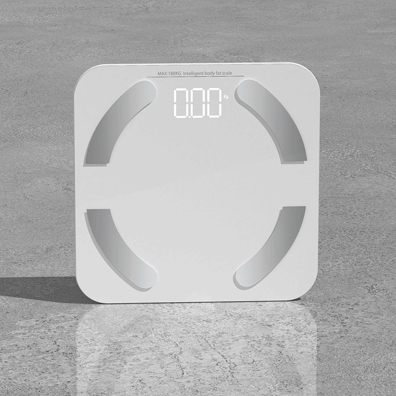 Electronic Scales Battery