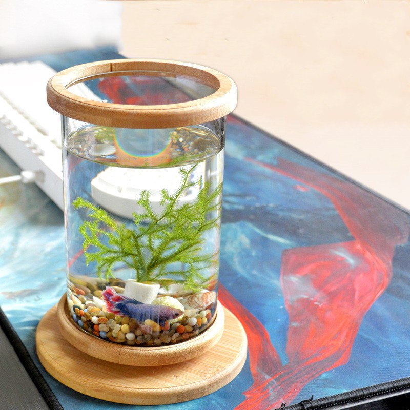 Mini Fish Tank Decoration