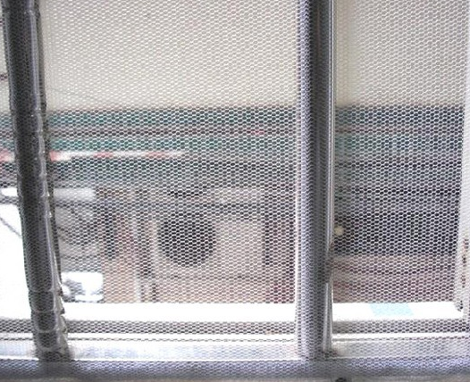 Mosquito Net for Windows