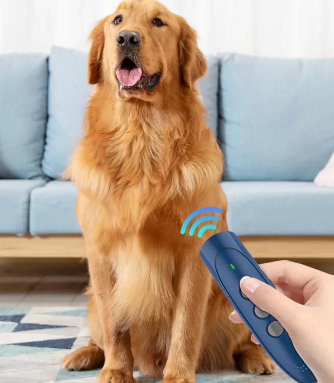 Dog Training Sound Device