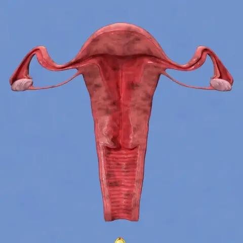 AAFQ Instant Itching Stopper & Detox and Slimming & Firming Repair & Pink and Tender Natural Capsules PRO