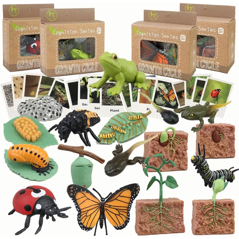 Color: Army Green - Montessori Life Cycle Animal Figures With Flash Cards Educational Matching Game Creative Biology Model Learning Teaching Aids