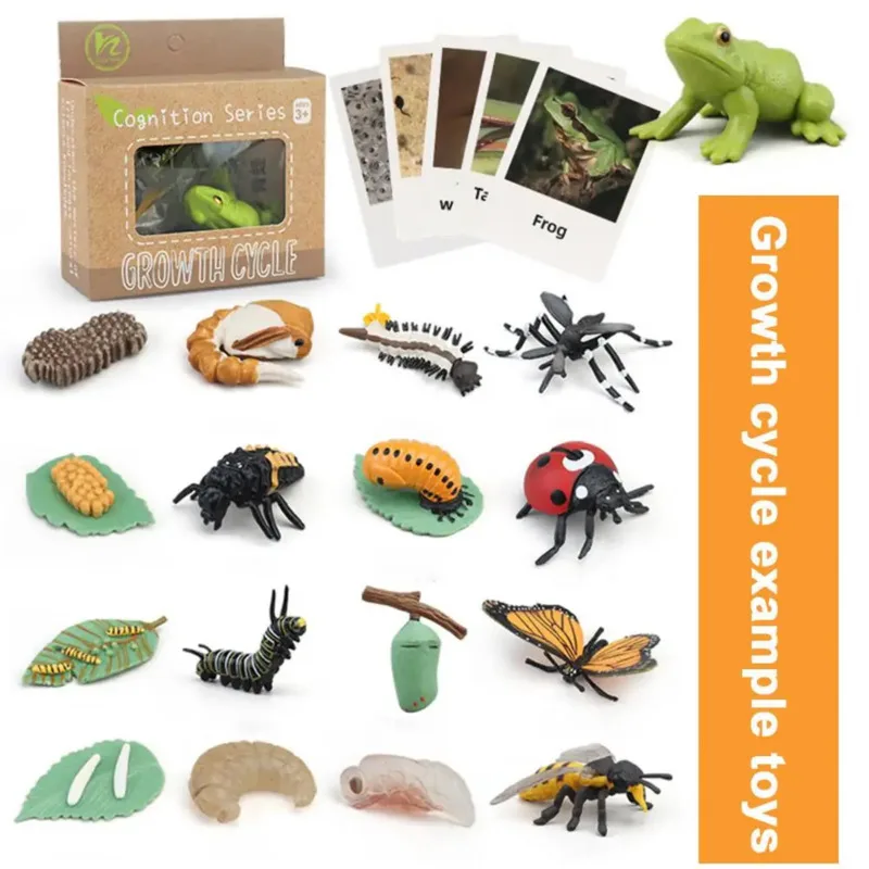 Color: Army Green - Montessori Life Cycle Animal Figures With Flash Cards Educational Matching Game Creative Biology Model Learning Teaching Aids