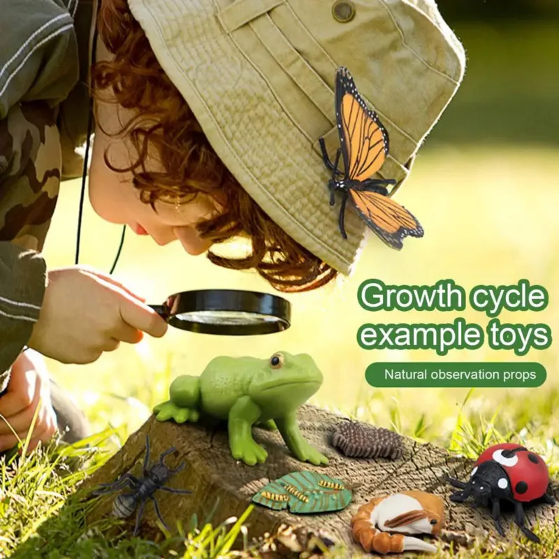 Color: Army Green - Montessori Life Cycle Animal Figures With Flash Cards Educational Matching Game Creative Biology Model Learning Teaching Aids
