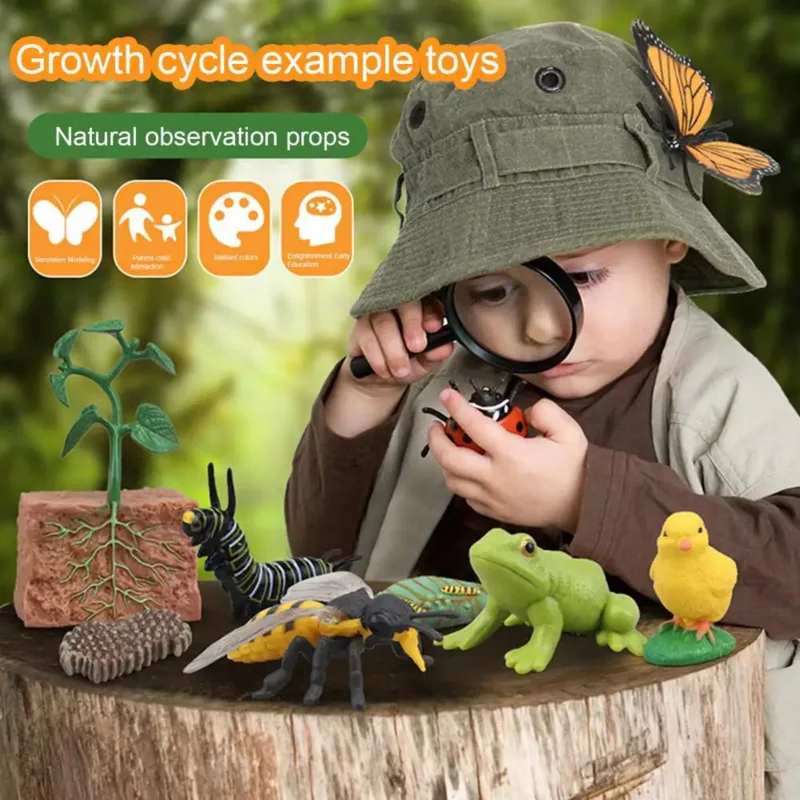 Color: Army Green - Montessori Life Cycle Animal Figures With Flash Cards Educational Matching Game Creative Biology Model Learning Teaching Aids