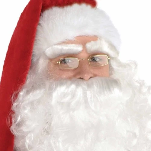 Santa Adult Classic Glasses