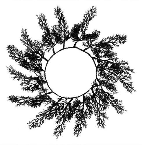 Deadly Soiree Black Foliage Table Placemats