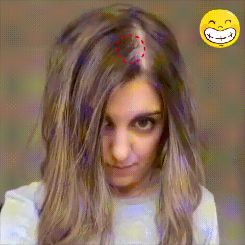 Ginger Plant Extract Anti-Hair Loss Hair Shampoo