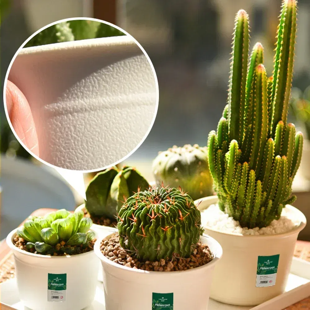 Color: PURPLE, Sheet Size: S - OIMG Plastic Round Thick Imitation Ceramic Household Indoor Planting Fleshy Green Fruit and Vegetable Resin Plastic Flower Pot