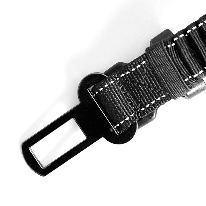 Roamer Bungee Dog Leash Stretch Webbing Hands-Free Leash