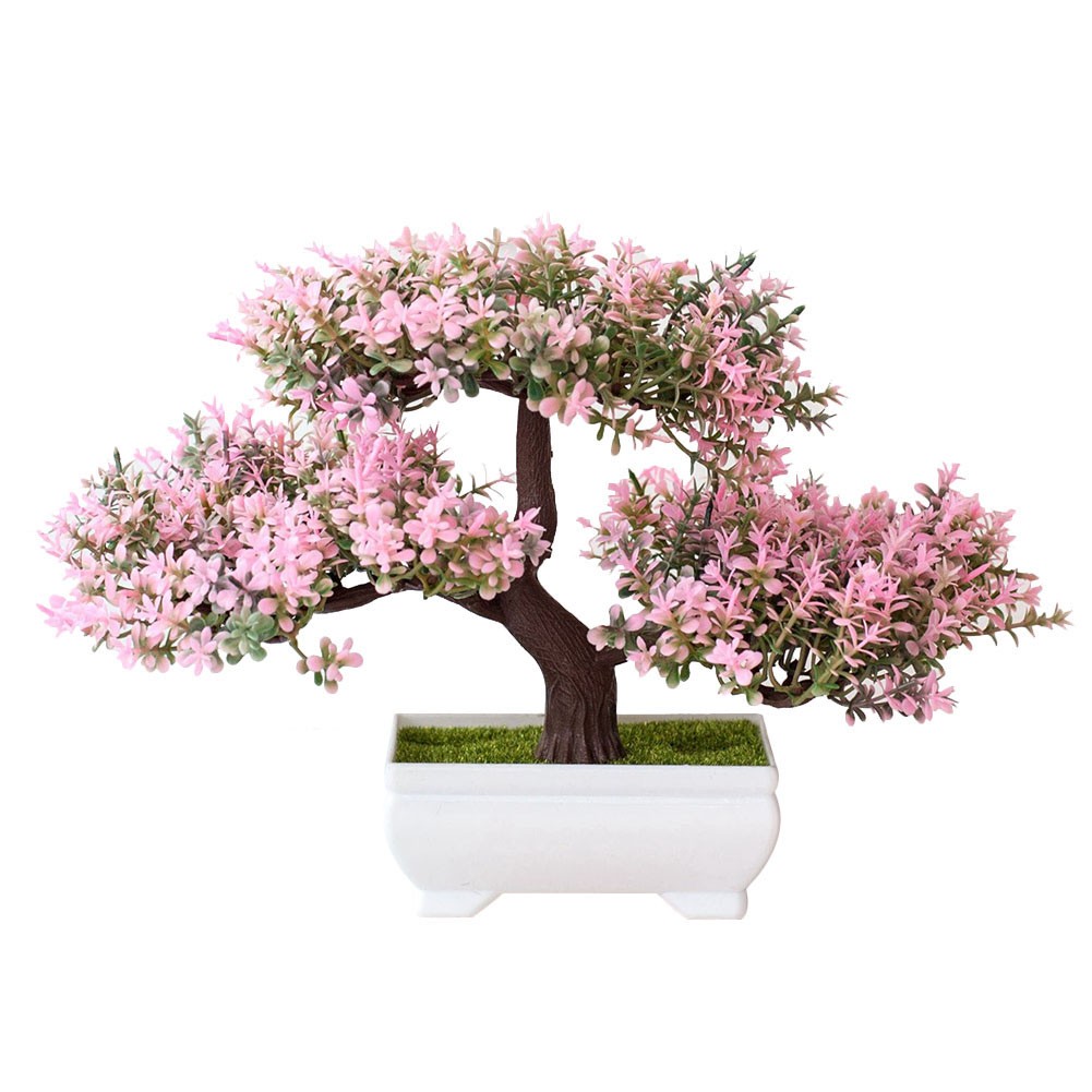 Bonsai Tree for Living Room Home Office