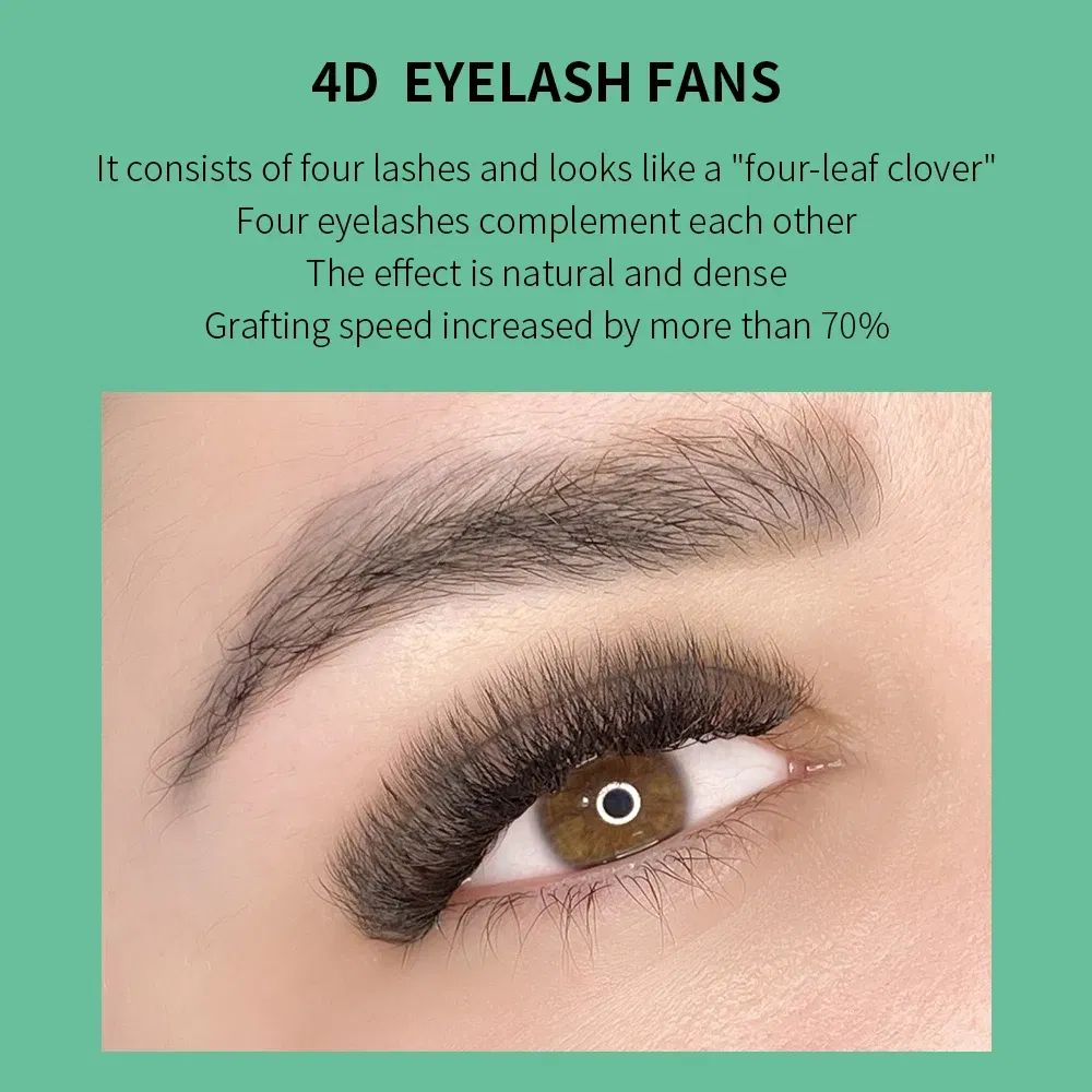 Color: Brushed Chrome, Curl: D, Thickness: 0.07mm, Length: 12mm - GLAMLASH 4D - W Shaped Eyelash Extension Automatic Flowering W Fake Lashes 0.07mm C/D/L/LU Curl Individual