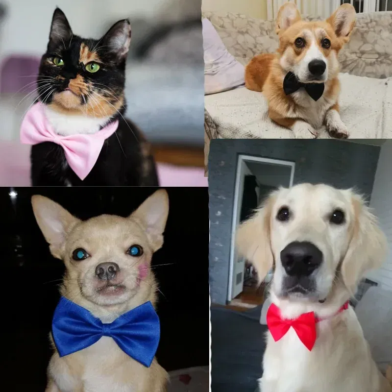 Color: Burgundy - Pet Dog Cat Necklace Adjustable Strap for Cat Collar Dogs Accessories pet dog bow tie puppy bow ties dog Pet supplies