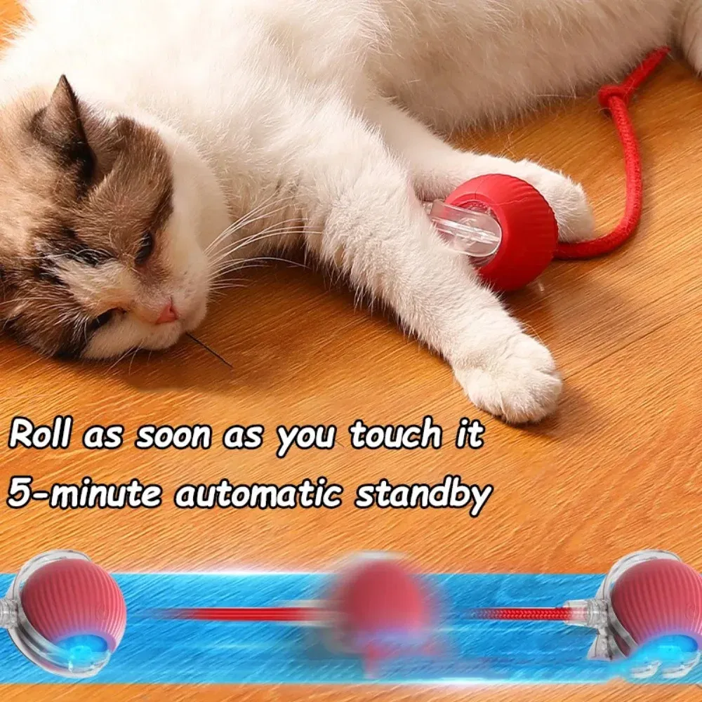 Color: PURPLE - New Cat Interactive Ball Toy Automatic Rolling Ball Faux Tail Rechargeable Smart Pet Electric Toy Dog Cat Training Imitate Mouse