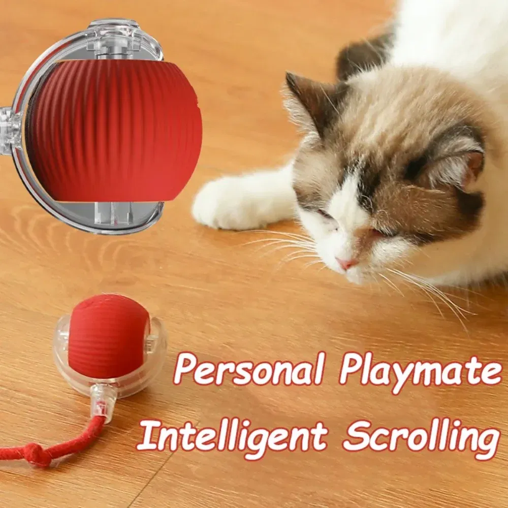 Color: PURPLE - New Cat Interactive Ball Toy Automatic Rolling Ball Faux Tail Rechargeable Smart Pet Electric Toy Dog Cat Training Imitate Mouse